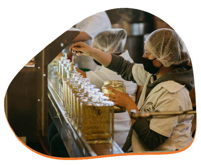 Auditoria y seguimiento