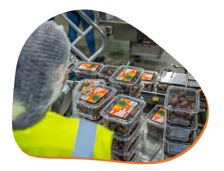 Validación de etiquetado