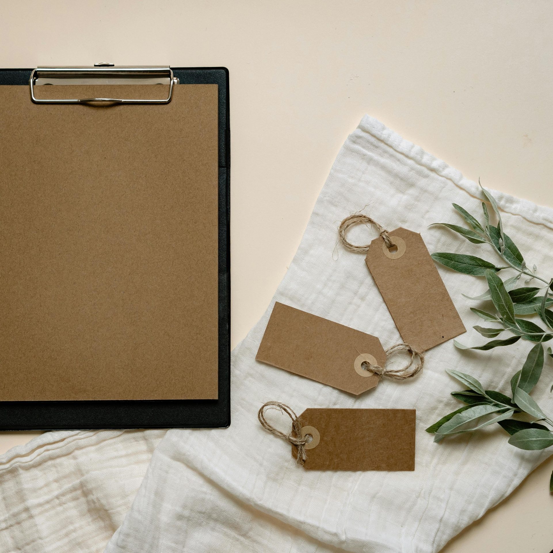 cs alimentaria ficha técnica